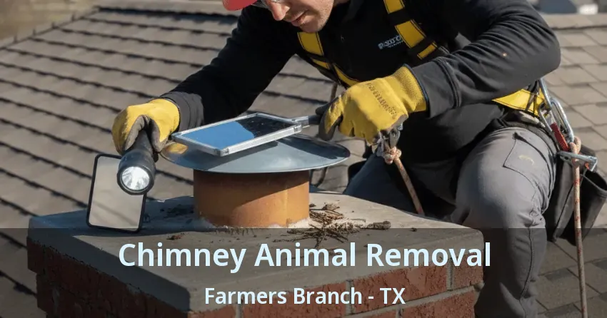 Chimney Animal Removal Farmers Branch - TX