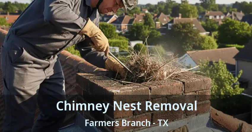 Chimney Nest Removal Farmers Branch - TX Chimney Nest Removal Farmers Branch - TX