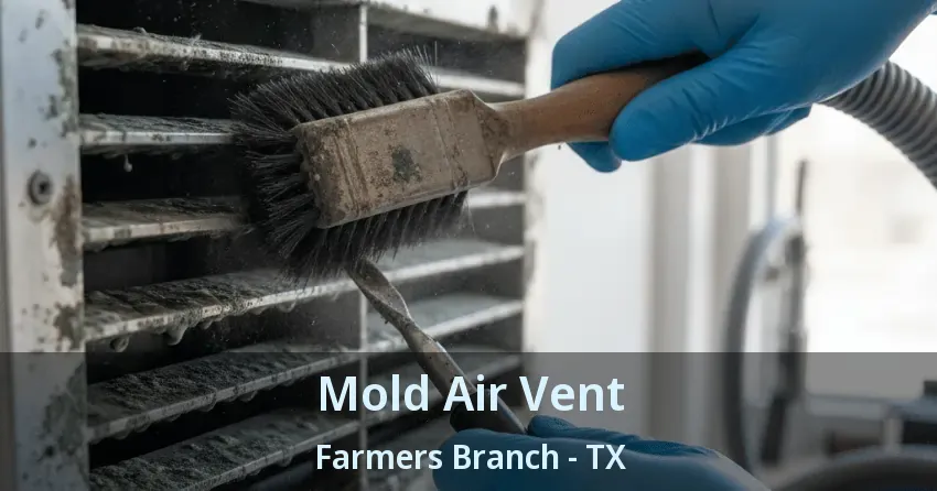 Mold Air Vent Farmers Branch - TX