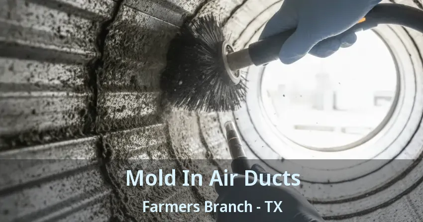 Mold In Air Ducts Farmers Branch - TX