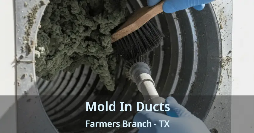 Mold In Ducts Farmers Branch - TX