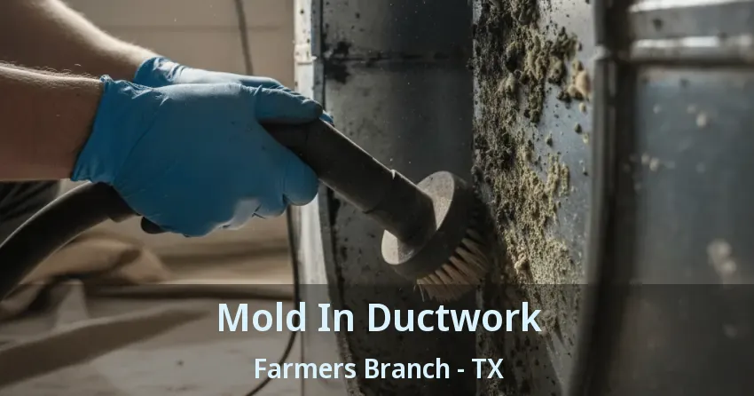 Mold In Ductwork Farmers Branch - TX
