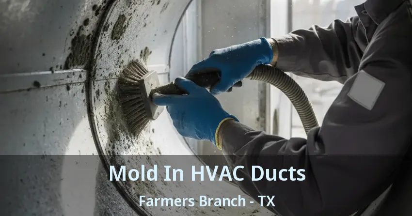 Mold In HVAC Ducts Farmers Branch - TX Mold In HVAC Ducts Farmers Branch - TX