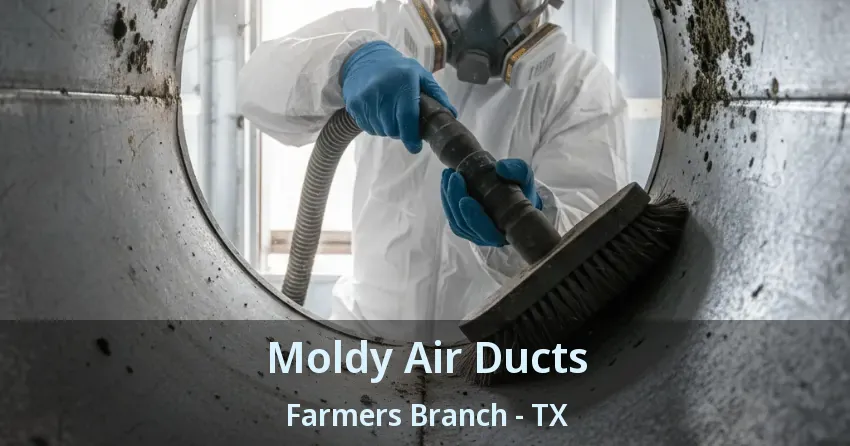 Moldy Air Ducts Farmers Branch - TX